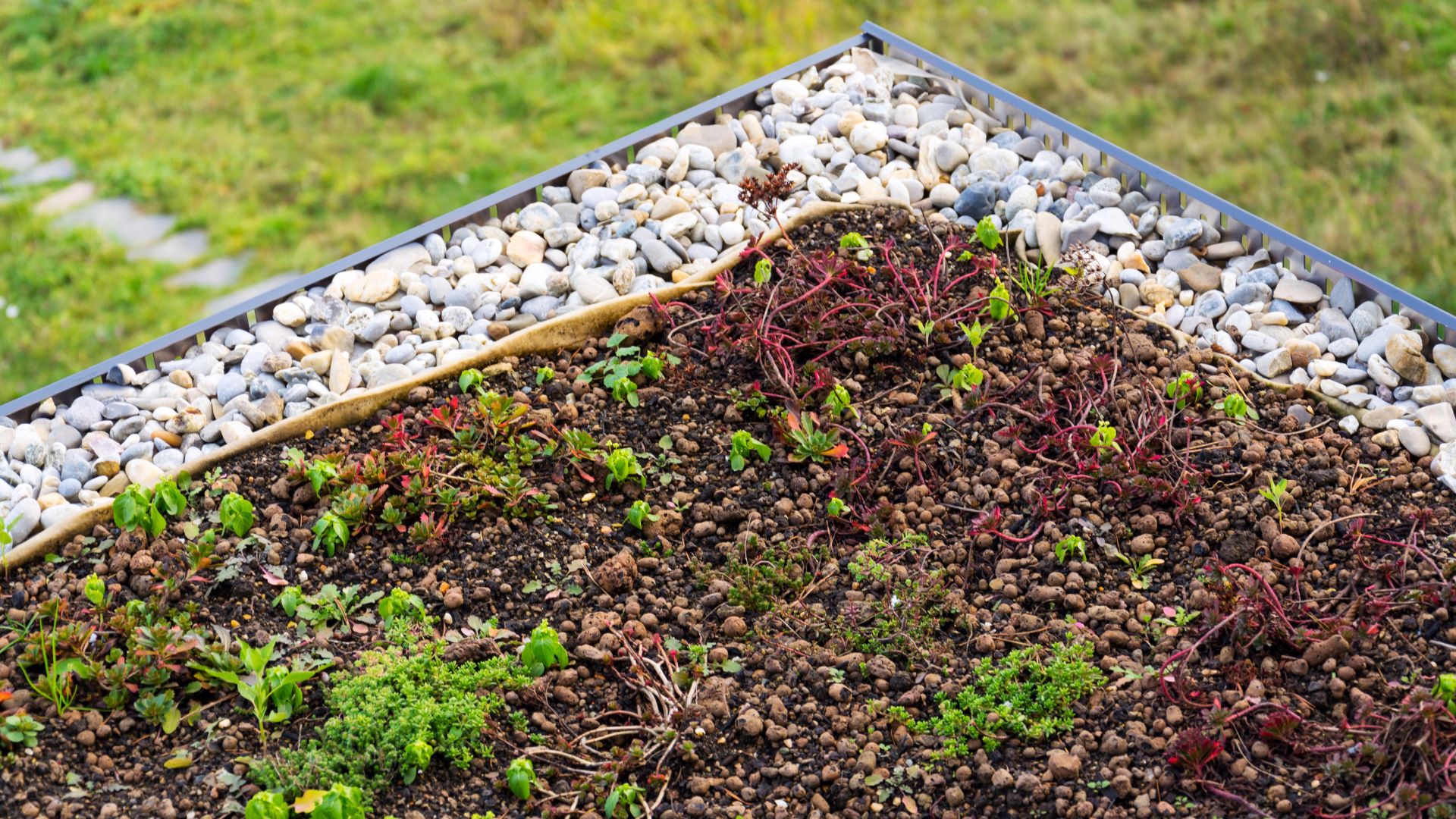 Extenzív zöldtető építés, extenzív zöldtető rétegrend